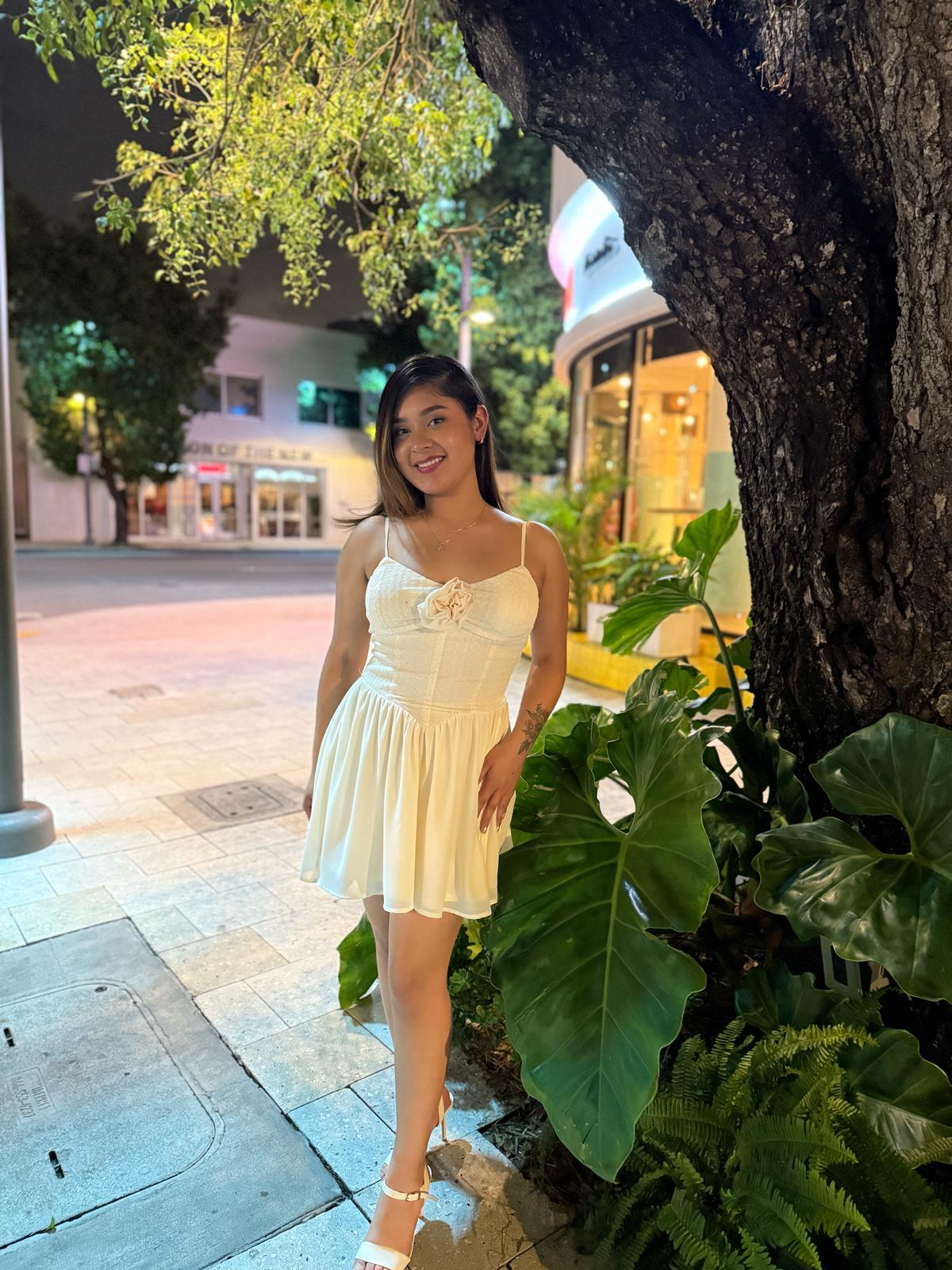 Rosette Mini Dress