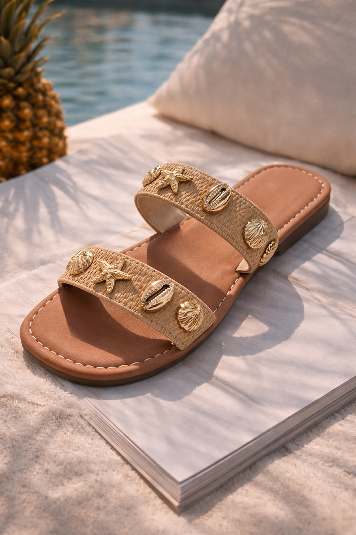 Amalfi Shell Detail Slides